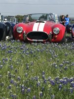 Steve's MKII Factory Five Cobra